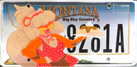 Image 2 of Waitress License Plate Painting