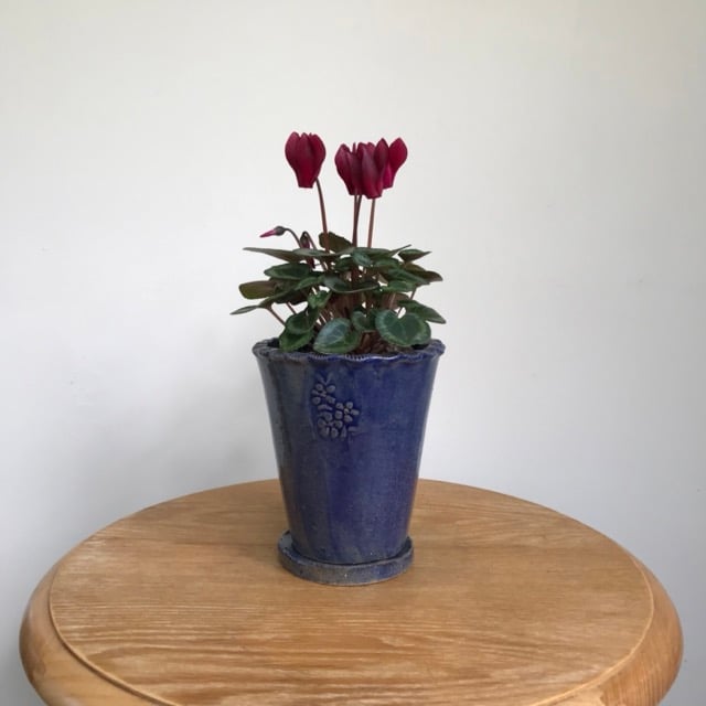 Image of The Little Emily plant pots - Denim