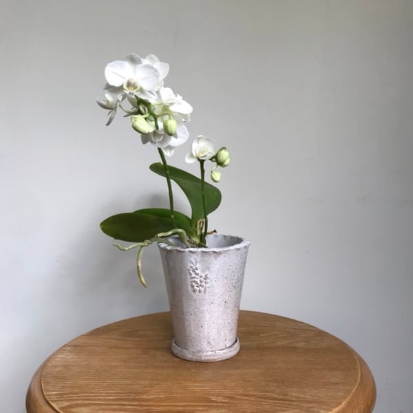 Image of The Little Emily Plant Pot - white