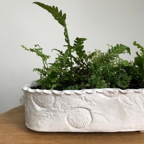 Image of The Mini Gardens