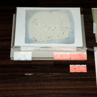 Image 2 of a house to hold, a loaf to share