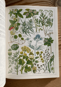 Image 3 of The New Concise British Flora W. Keeble Martin