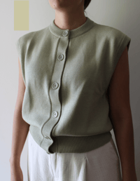 Image 1 of NATURALLY DYED LIGHTWEIGHT MERINO VEST _ COL. 8027
