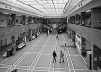 MONOGURUI mimo-dress: (RESPECT FOR THE KIND OF INTELLIGENCE THAT ENABLES GRASS SEED TO GROW GRASS)