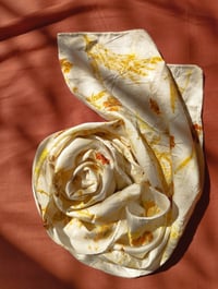 Image 1 of Coreopsis flowers & Silk