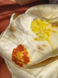 Image 2 of Coreopsis flowers & Silk