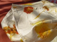 Image 3 of Coreopsis flowers & Silk