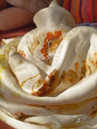 Image 4 of Coreopsis flowers & Silk