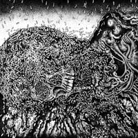 Image 1 of Putrefaction Sets In / FesterDecay - Split 12''