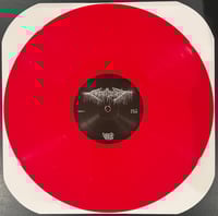 Image 2 of Putrefaction Sets In / FesterDecay - Split 12''