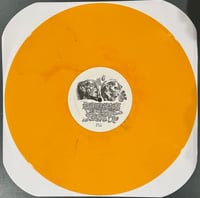 Image 3 of Putrefaction Sets In / FesterDecay - Split 12''