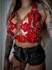 Image 2 of Temptation Crucify Bra - Red Snake