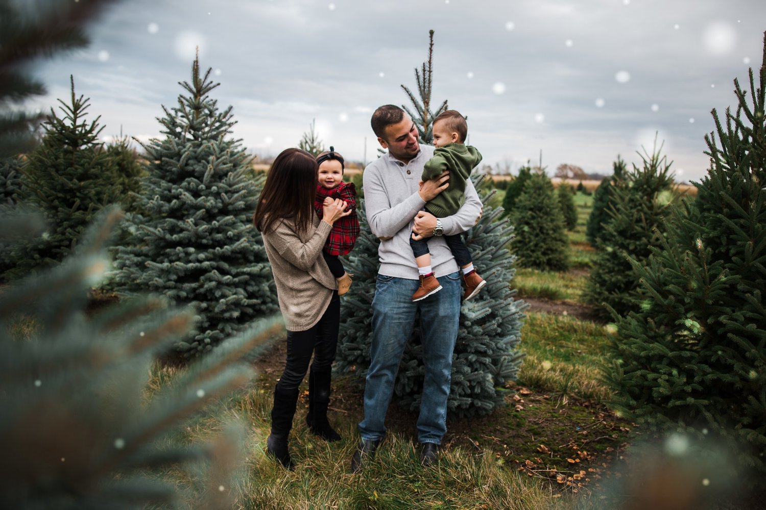 Image of Oct 18th - Christmas on the Tree Farm 