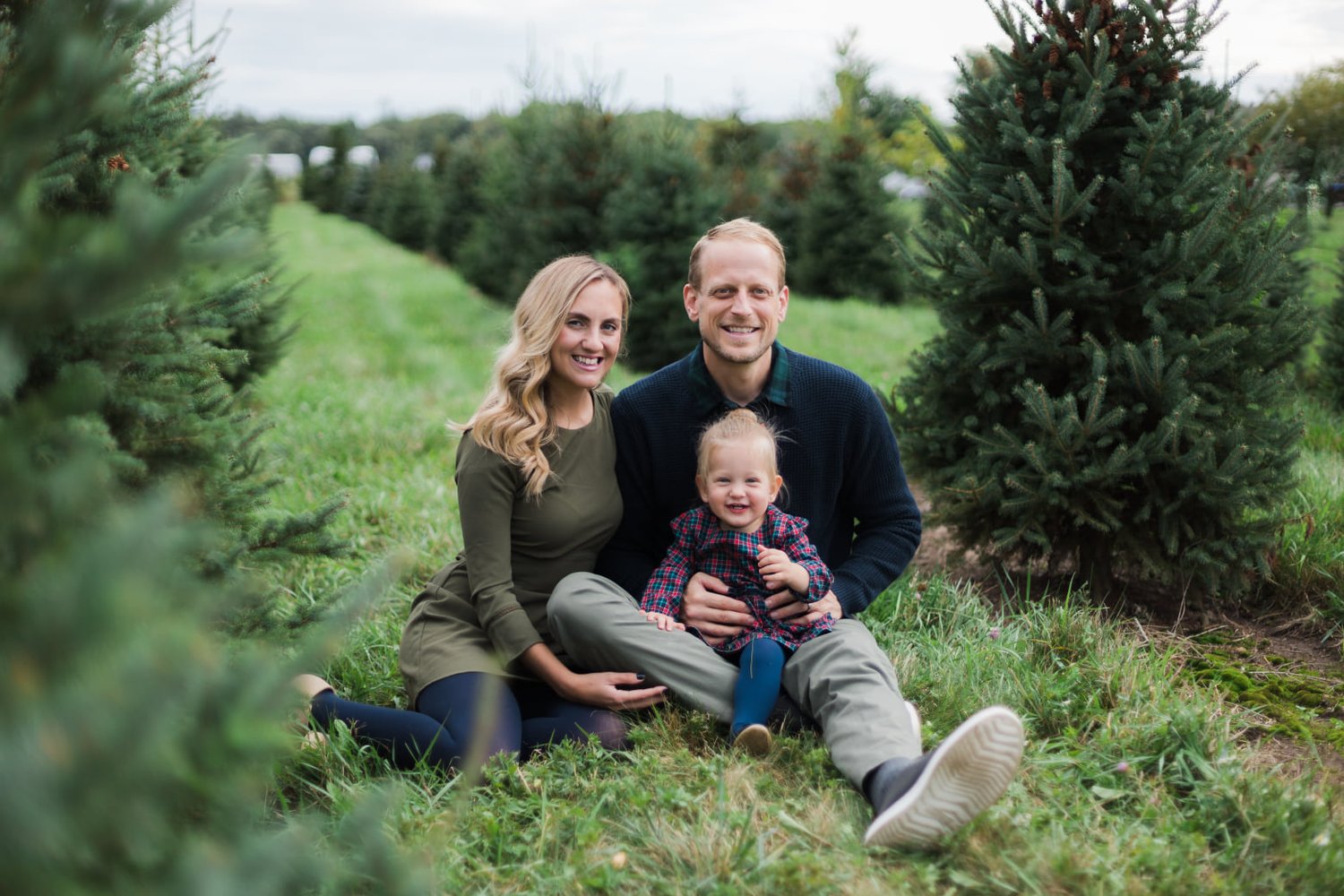 Image of Oct 18th - Christmas on the Tree Farm 