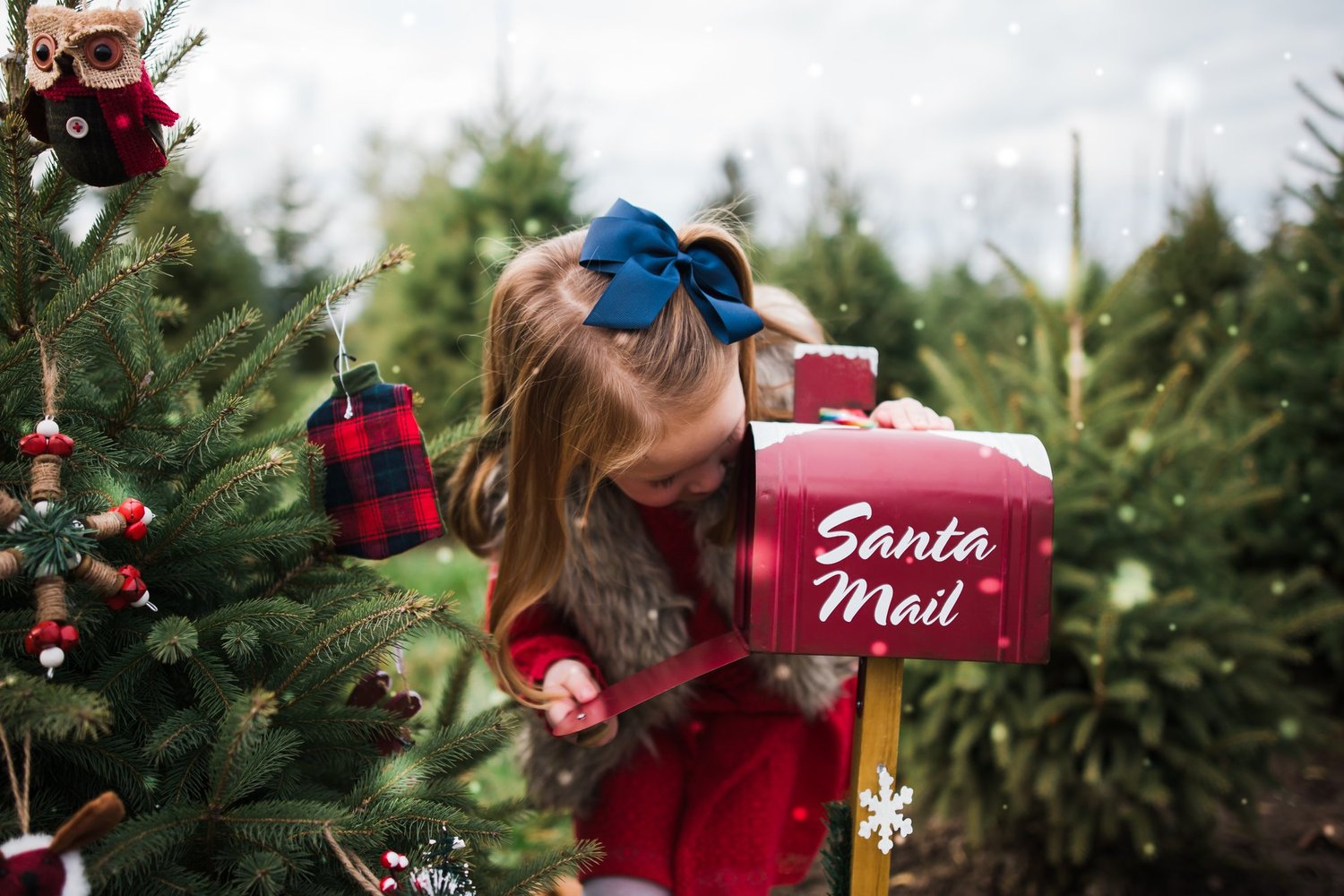 Image of Oct 18th - Christmas on the Tree Farm 