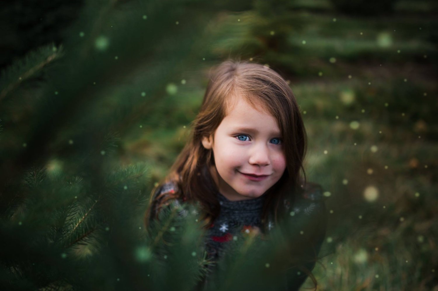 Image of Oct 18th - Christmas on the Tree Farm 