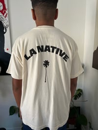 Image 2 of LA Native Palm Tree