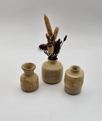 Image 2 of Sand dollar collection 