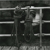 Image 2 of Ropes