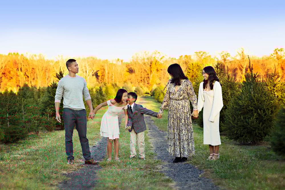 Image of 2025 Family & Holiday Petite Sessions 