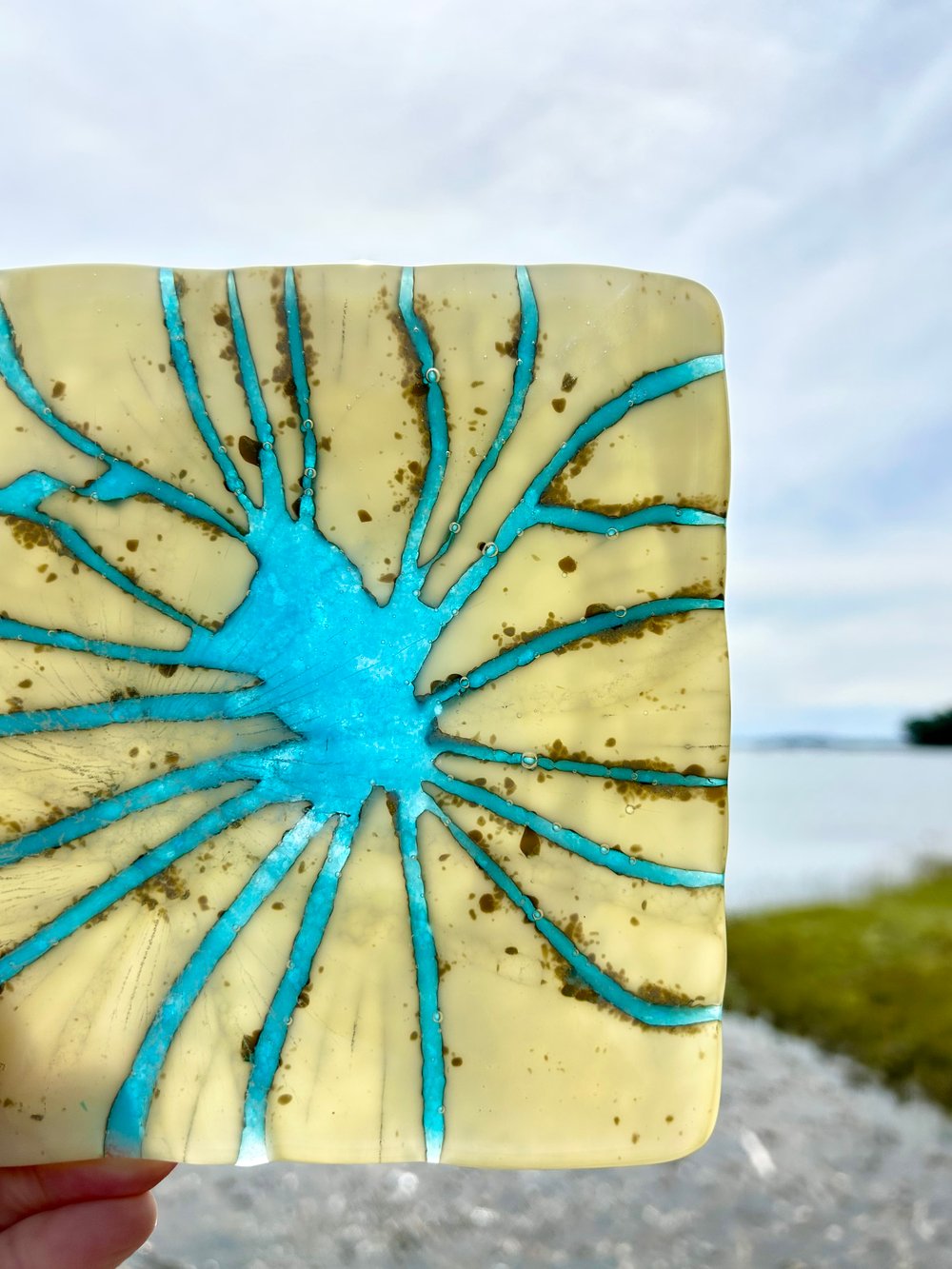 Image of Light Runs Wild