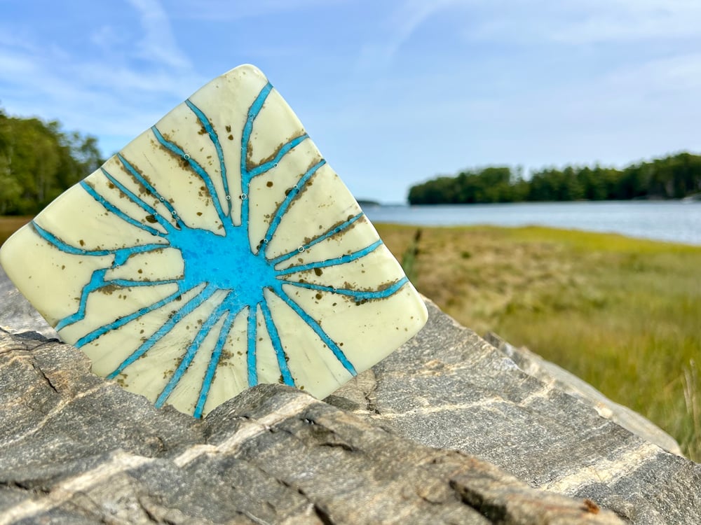 Image of Light Runs Wild