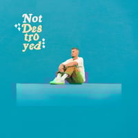 Image 1 of NOT DESTROYED PHYSICAL CD  limited quantity