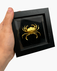 Crab frame