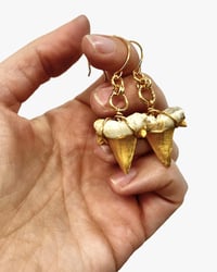 Shark Tooth earrings