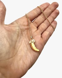 Badger Claw necklace