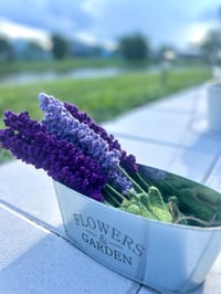 Image 2 of Lavender Bundles (oil-infused) 