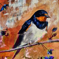 Image 2 of Barn Swallow at Dawn