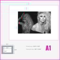 Image 5 of Kahn & Bell (1981)