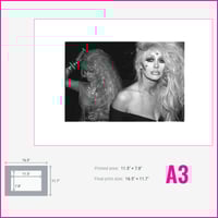 Image 3 of Kahn & Bell (1981)