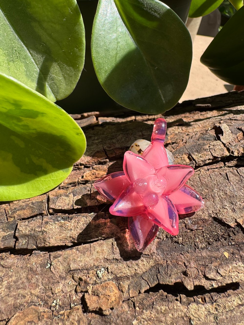 Blush Succulent Pendant
