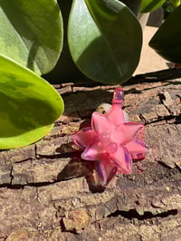 Image 1 of Blush Succulent Pendant