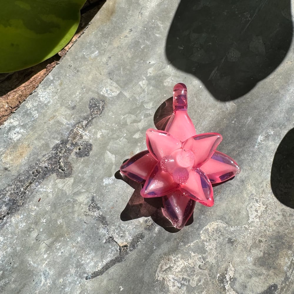 Blush Succulent Pendant