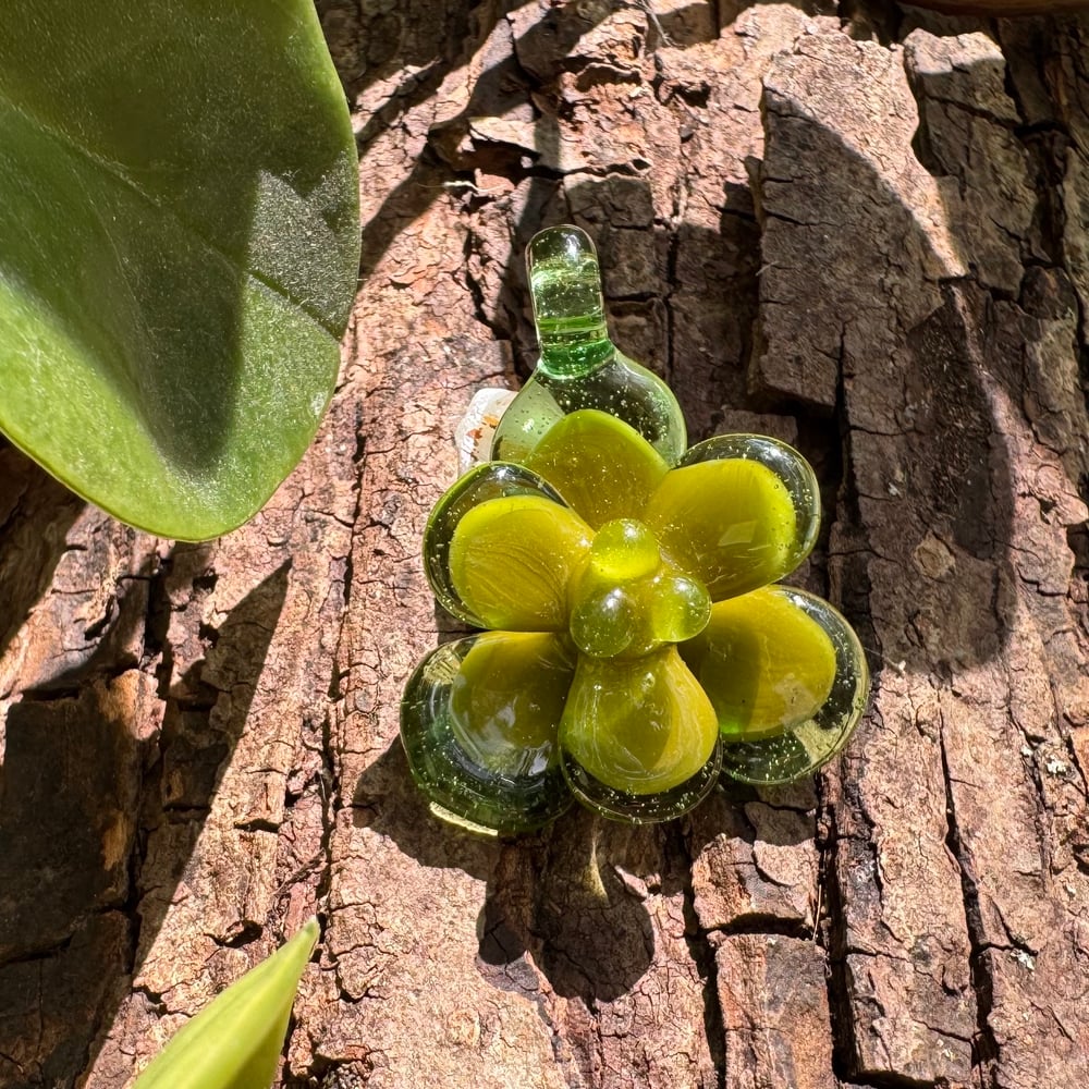 Avocado Succulent Pendant