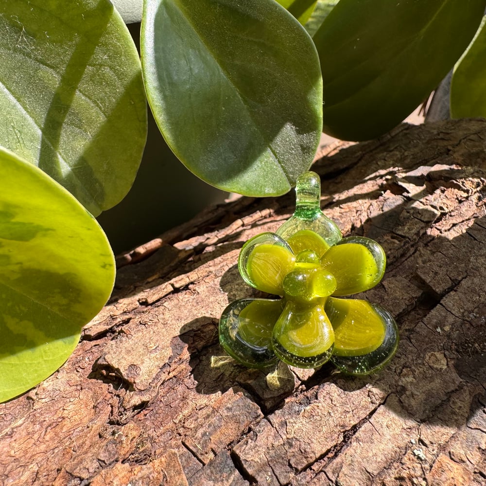 Avocado Succulent Pendant