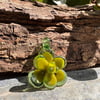 Avocado Succulent Pendant
