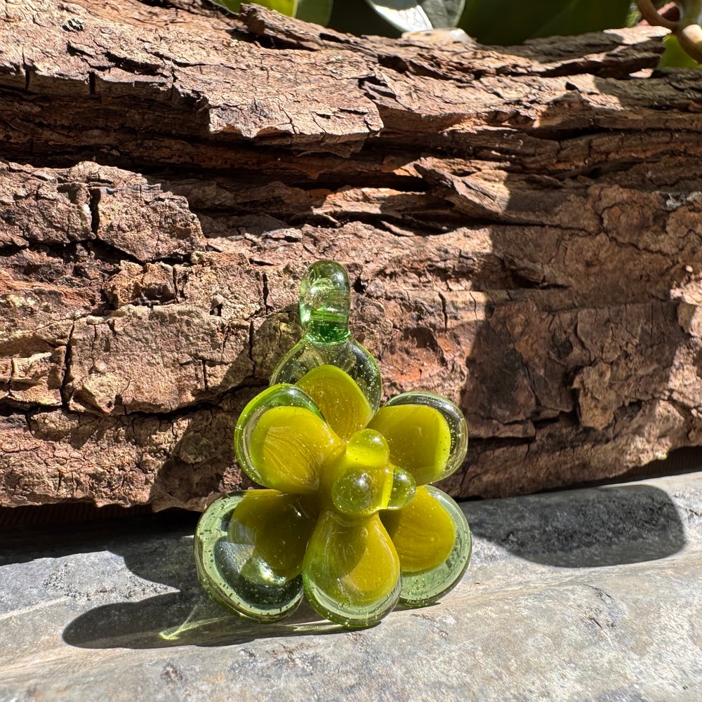 Avocado Succulent Pendant