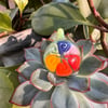 Lime Rainbow Geo Pendant 