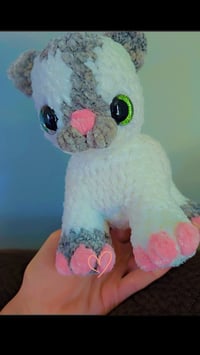 Image 4 of Kitty Cat