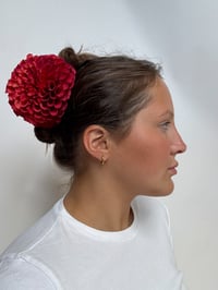 Image 2 of cherry red dahlia claw