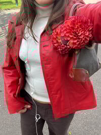 Image 3 of cherry red dahlia claw