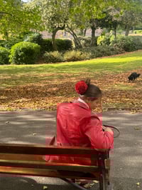 Image 4 of cherry red dahlia claw