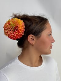 Image 2 of clementine dahlia claw