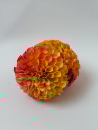 Image 1 of clementine dahlia claw