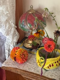 Image 4 of clementine dahlia claw