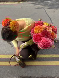 Image 3 of clementine dahlia claw